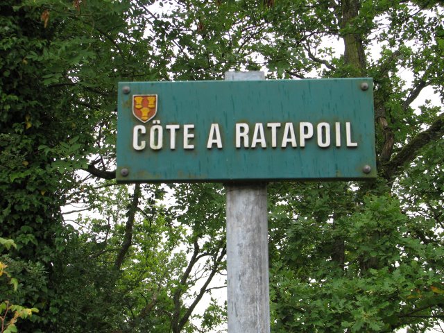 2010 07 Sortie bota à Ruffin 03